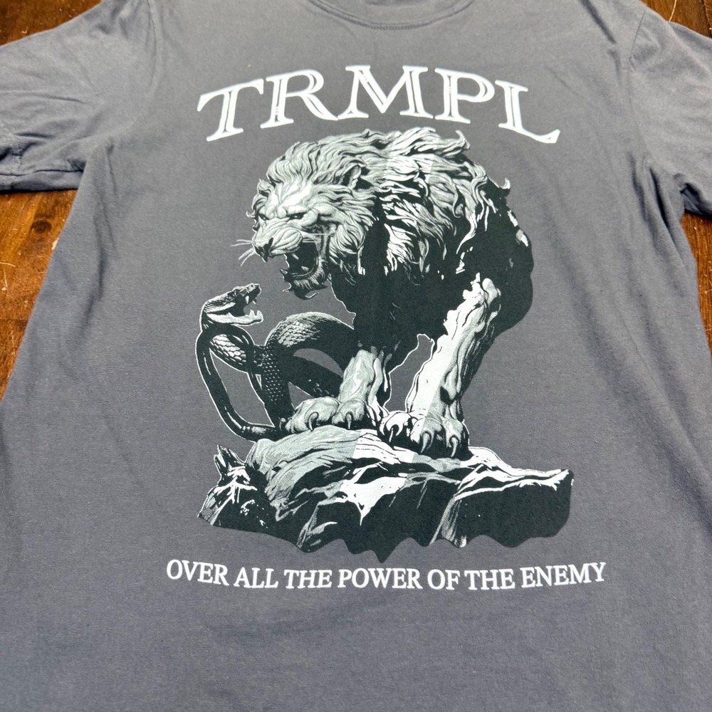 TRMPL Graphic TShirt Men Medium Gray Lion vs Serpent Over All Power Of The Enemy